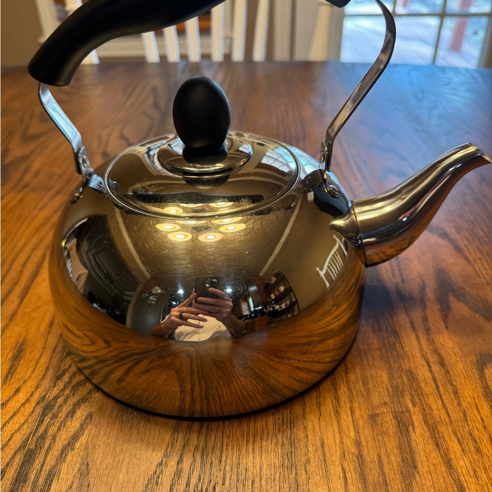Potobelo Italy Stainless Steel Stove Top Kettle Silver Black Ergonomic Handle